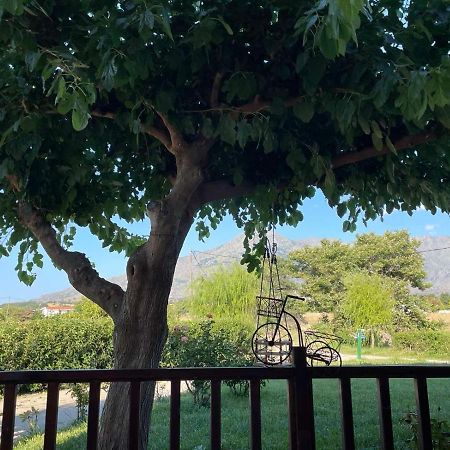 Platanos Apartment Samothraki Ngoại thất bức ảnh