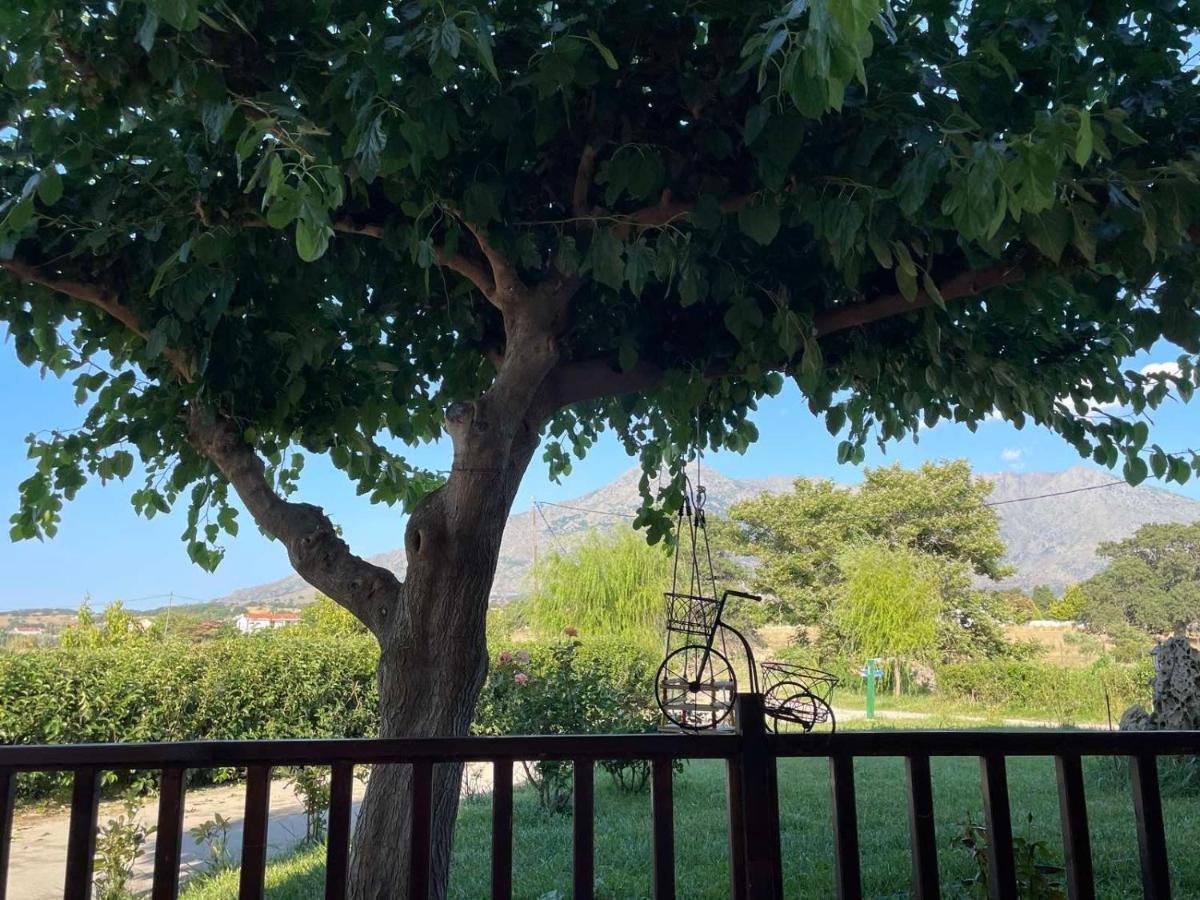 Platanos Apartment Samothraki Ngoại thất bức ảnh